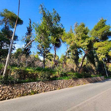 Cozy Apartment For 4 In Kolonaki, Lycabettus Αθήνα Εξωτερικό φωτογραφία