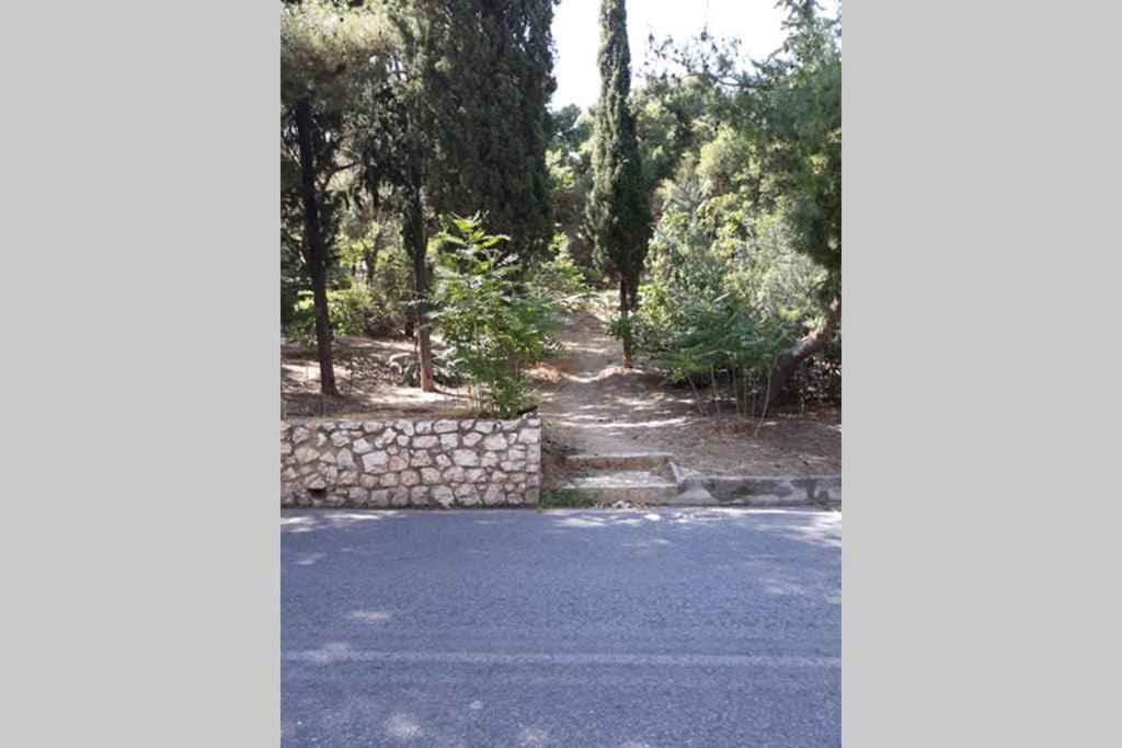 Cozy Apartment For 4 In Kolonaki, Lycabettus Αθήνα Εξωτερικό φωτογραφία